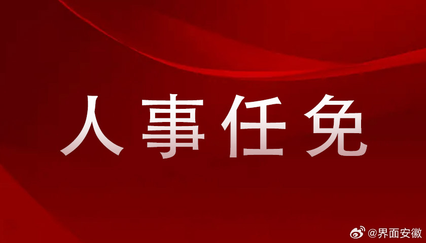 利辛最新人事任免，利辛人事调整速递