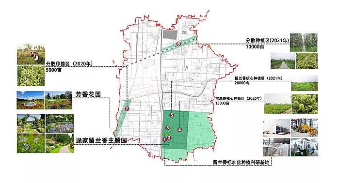 樵舍镇规划蓝图全新揭晓