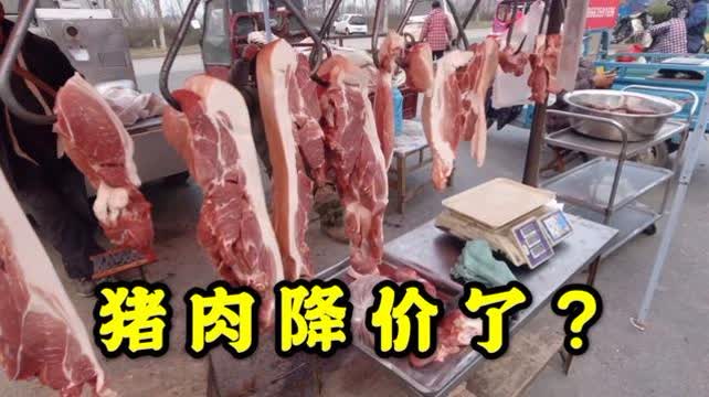 2023山东最新猪肉行情