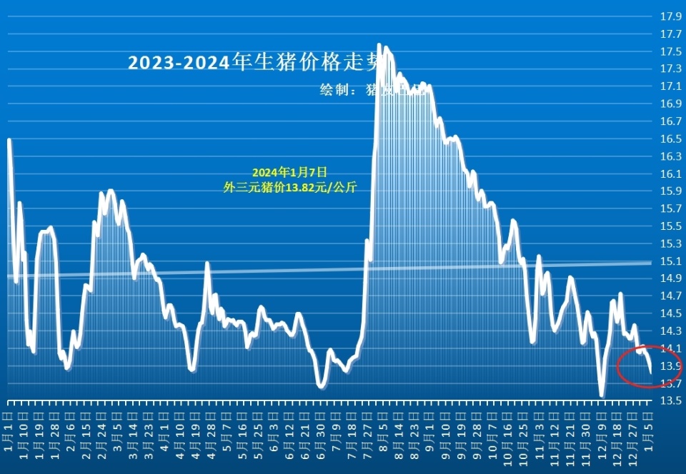 今年生猪价格最新动态