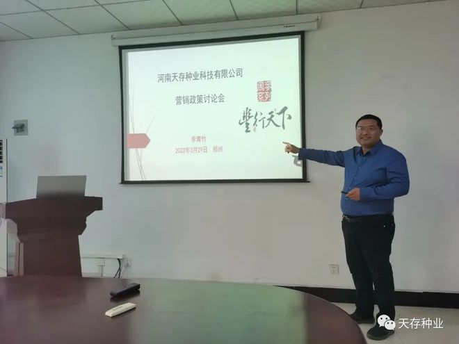 小麦市场最新动态与价格解析